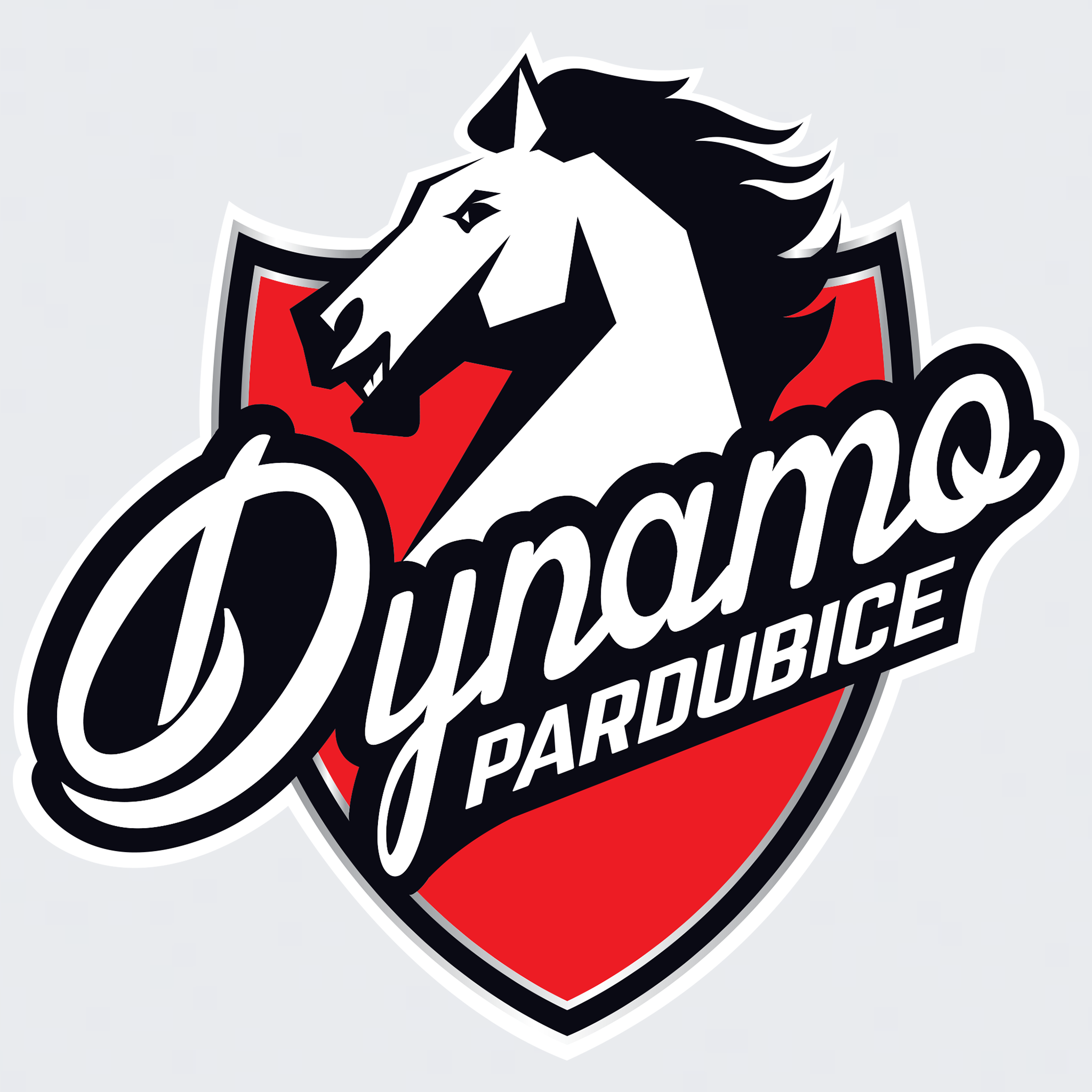 HC Dynamo Pardubice, a.s.