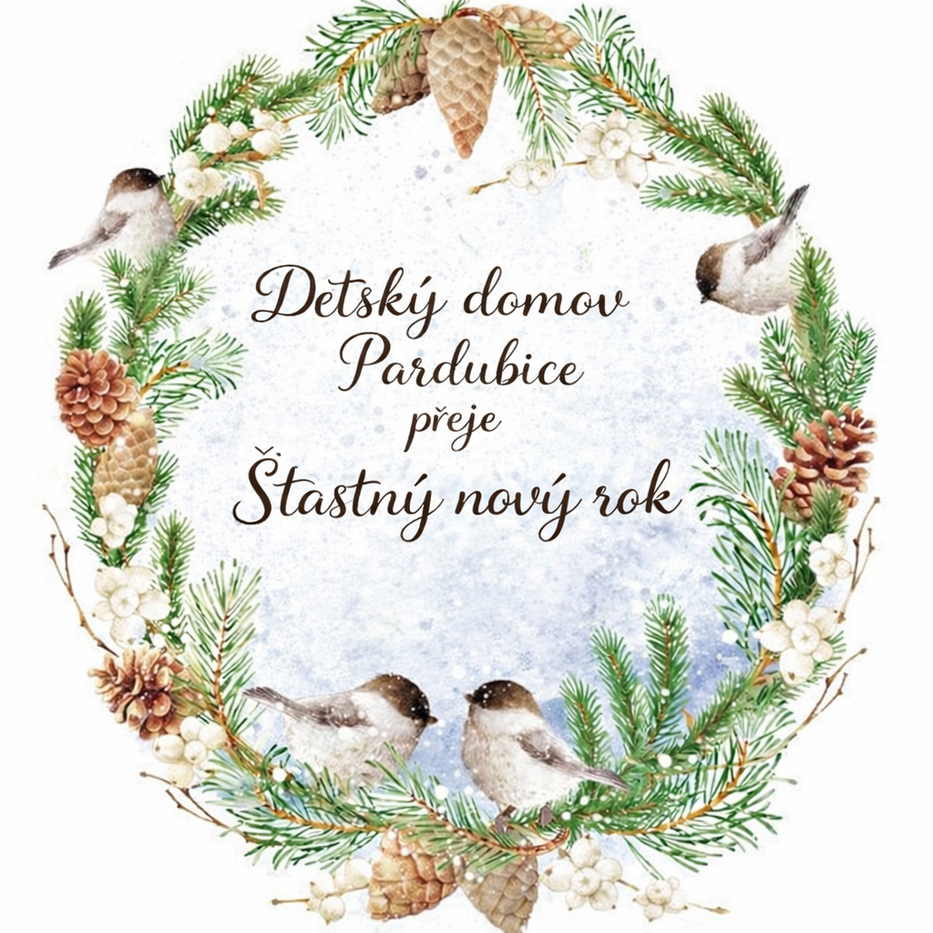       
          Poděkování za podporu v roce 2025
      